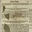dried plant leaves and traces of dried plants and a large leaf on a page of The Law Books of the Realm of Sweden